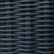 Lacquered rattan Blueberry 